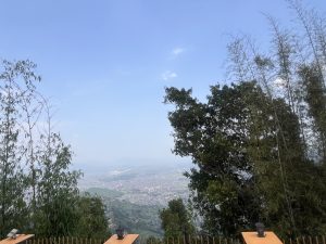 A panoramic view from a high vantage point overlooking a city below, framed by tall trees and bamboo on the left side.