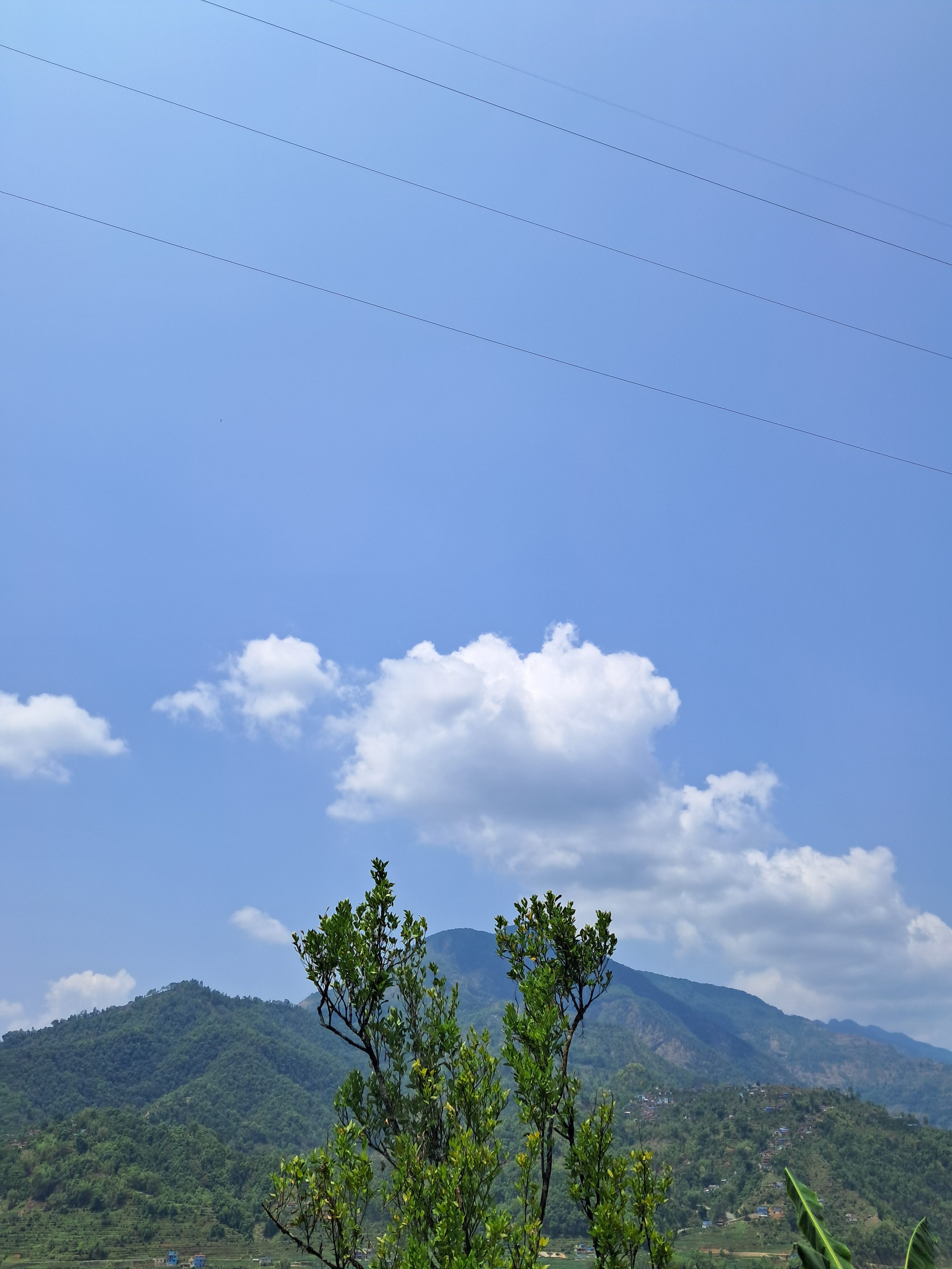 A scenic view featuring a clear blue sky with a few fluffy clouds. In the foreground, there are green plants, while the background showcases rolling green hills and mountains under the bright sky