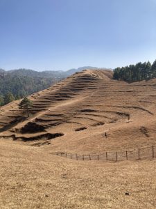A landscape view featuring rolling hills with terraced fields in varying shades of brown, under a clear blue sky.