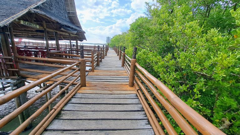 A wooden walkway extends to a beach, leading to a small hut nestled among the sand and waves.
