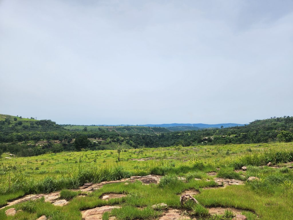 Wide landscape view featuring green grassy plains, scattered rocks in the foreground, and densely forested hills stretching into the distance under a pale blue sky.