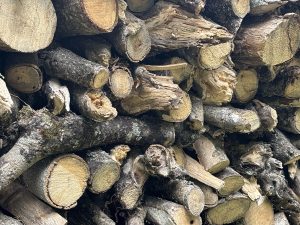 A pile of cut firewood stacked neatly, showing various lengths and diameters of logs. 