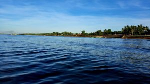 A serene waterfront scene depicting calm blue water with gentle ripples, bordered by a lush green shoreline featuring palm trees.
