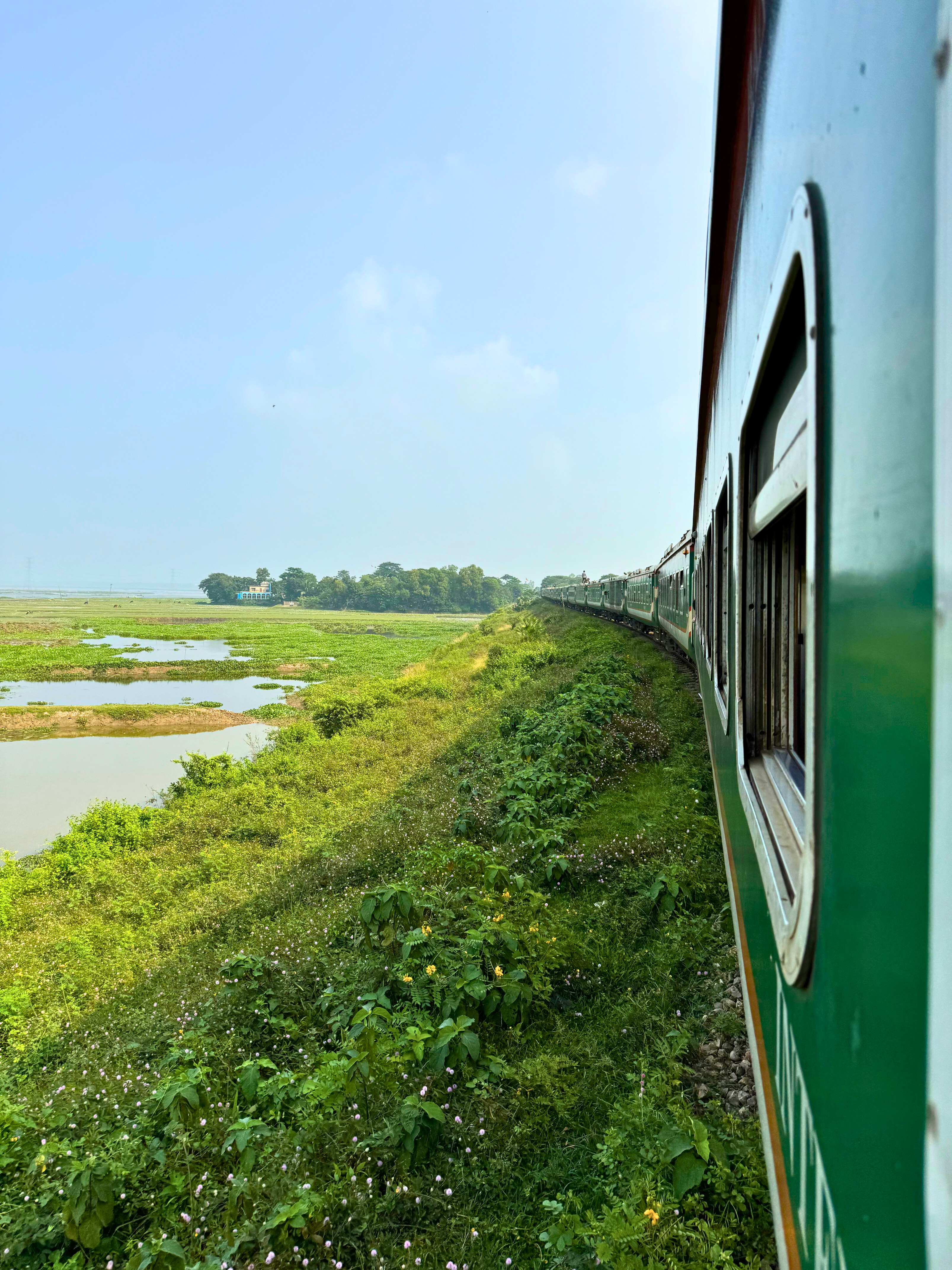 A view from a train window, showcasing lush green vegetation and patches of water alongside the railway track.