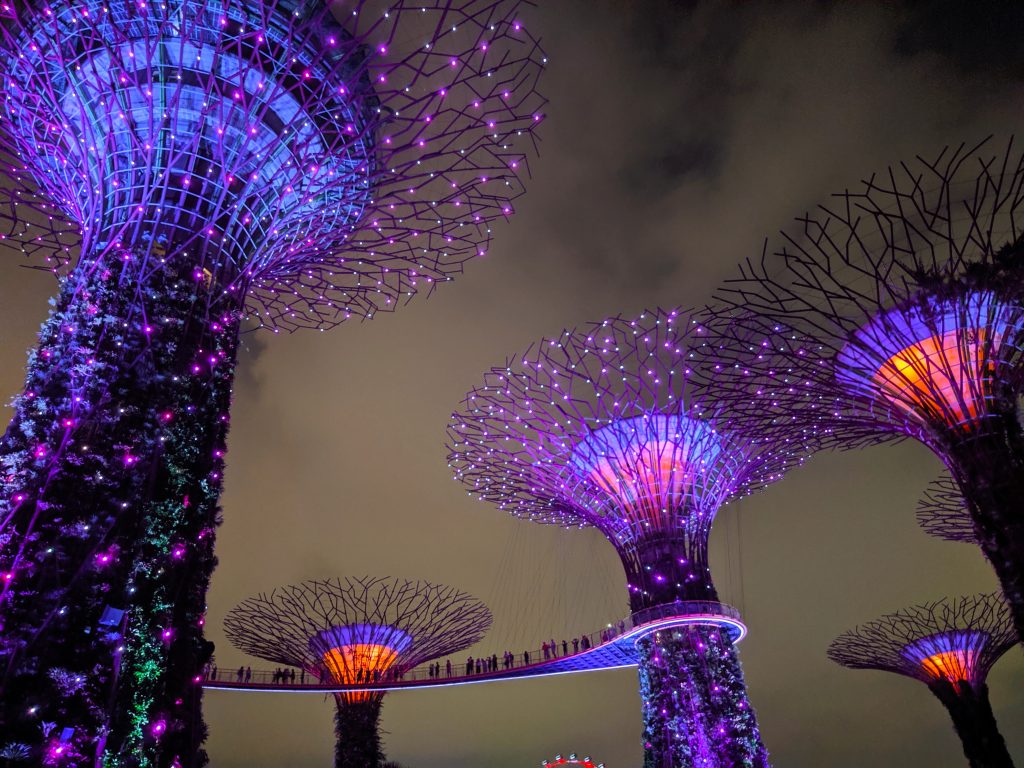 A breathtaking nighttime view of the illuminated Supertrees, glowing brilliantly in vibrant shades of purple and blue.