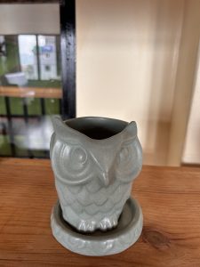 A ceramic owl-shaped planter in a soft green color sits on a wooden surface.