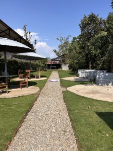 A pathway made of small stones runs through a landscaped garden.