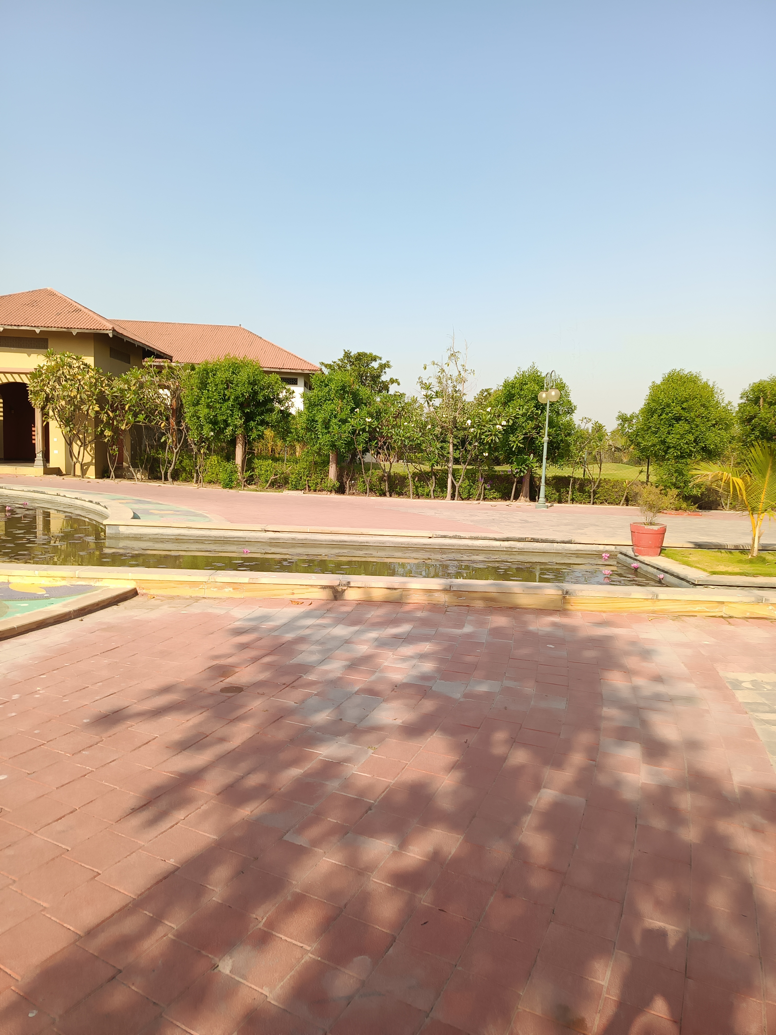 A view of a sunny outdoor area with a paved walkway made of brown and gray tiles.