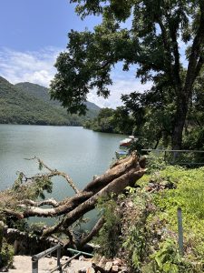 A serene lakeside scene featuring a calm body of water surrounded by lush greenery and hills.