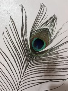A close-up of a peacock feather against a light background. The feather displays intricate patterns with a vibrant eye-like spot featuring shades of blue and green, radiating from a dark outer rim