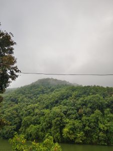 A lush green hillside covered in dense trees rises beneath a cloudy sky, with low-hanging mist at the peak. In the foreground, a river reflects the greenery, and there are hints of colorful plants at the edge