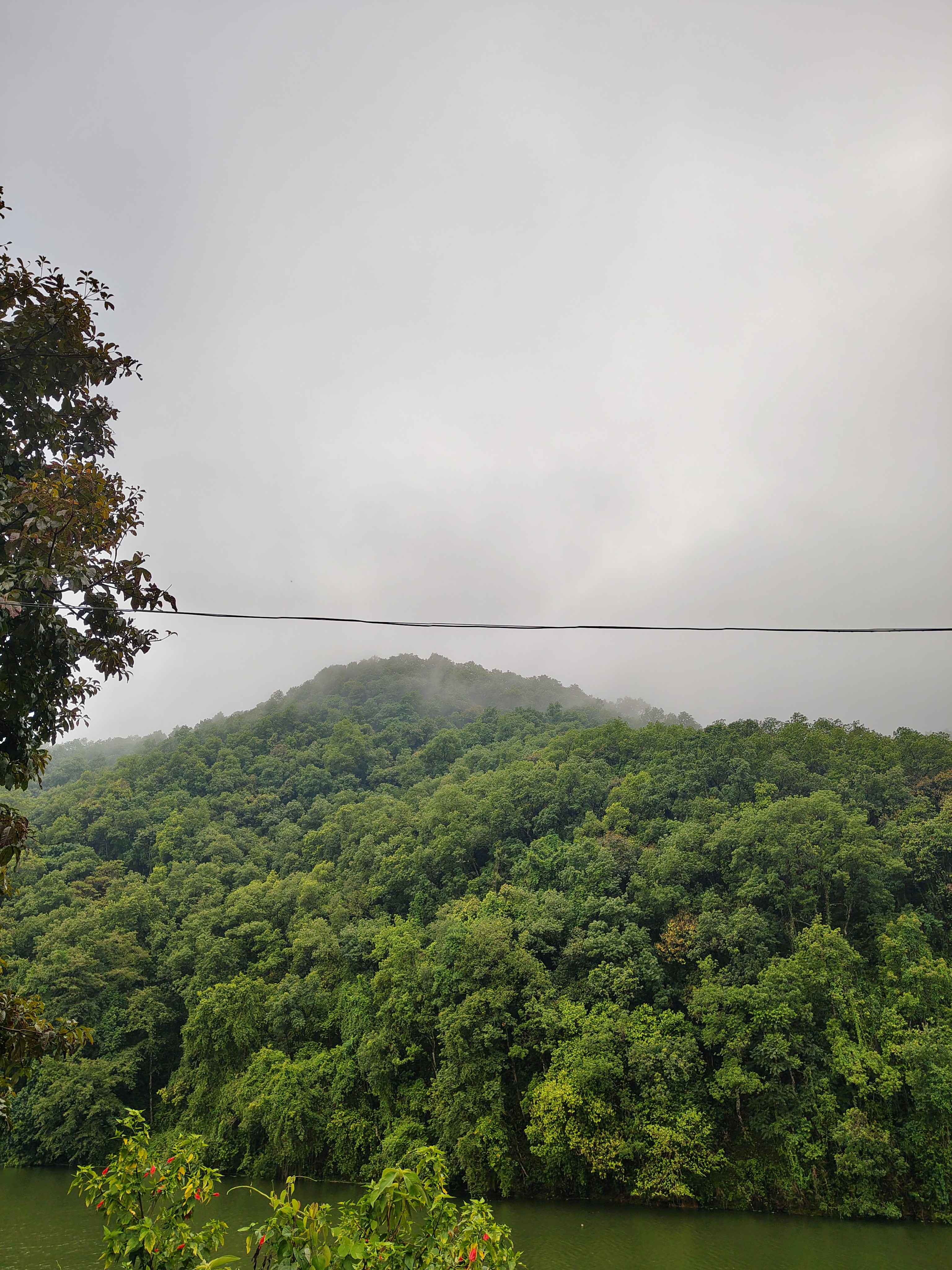 A lush green hillside covered in dense trees rises beneath a cloudy sky, with low-hanging mist at the peak. In the foreground, a river reflects the greenery, and there are hints of colorful plants at the edge