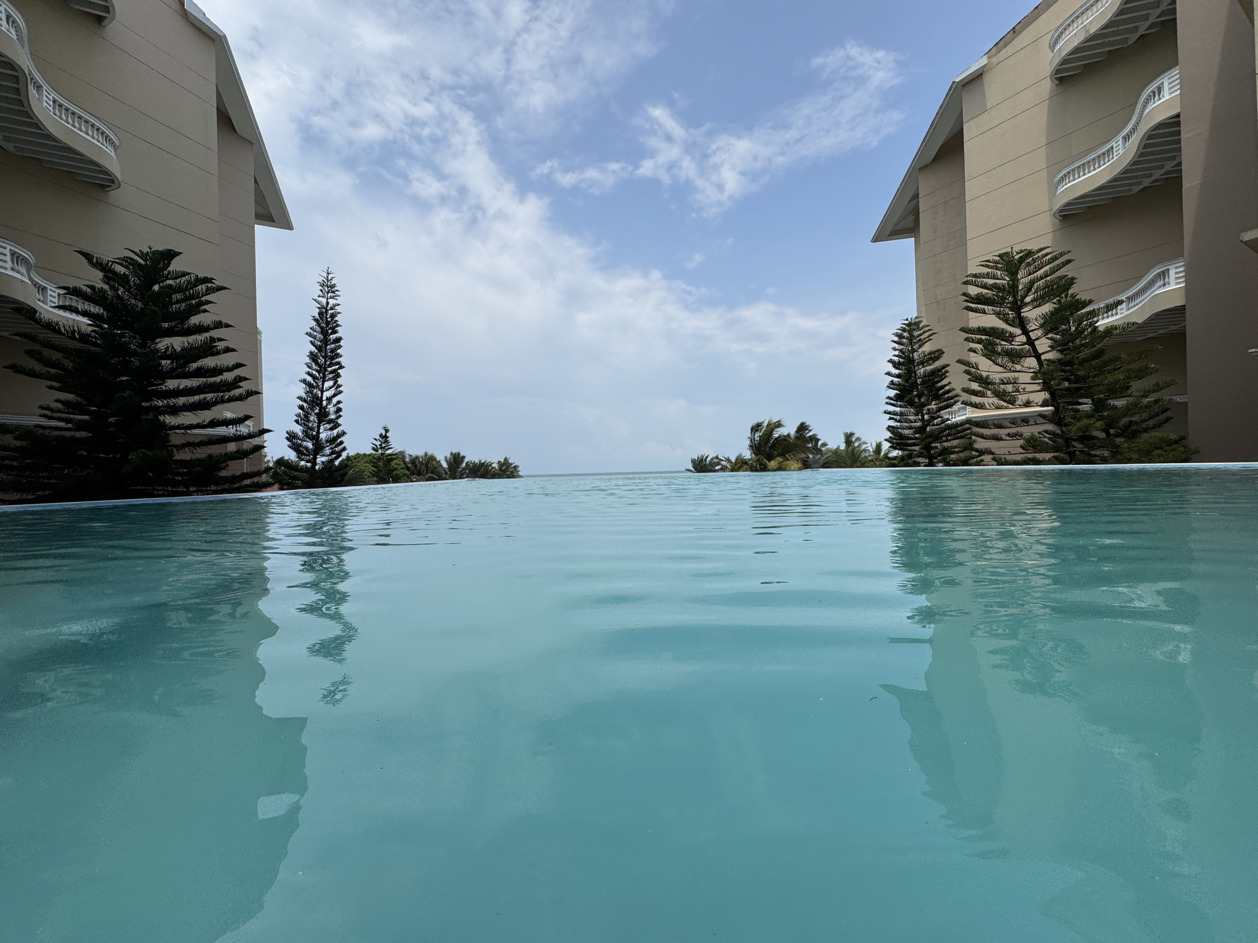 A serene view of an infinity pool reflecting the sky, flanked by tall, slender pine trees and the side of a beige building. In the distance, the ocean is visible under a partly cloudy sky.