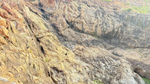 A rugged cliff dotted with vegetation and black birds, with a stone wall and greenery at the top right. The terrain is dry with patches of eroded soil.
