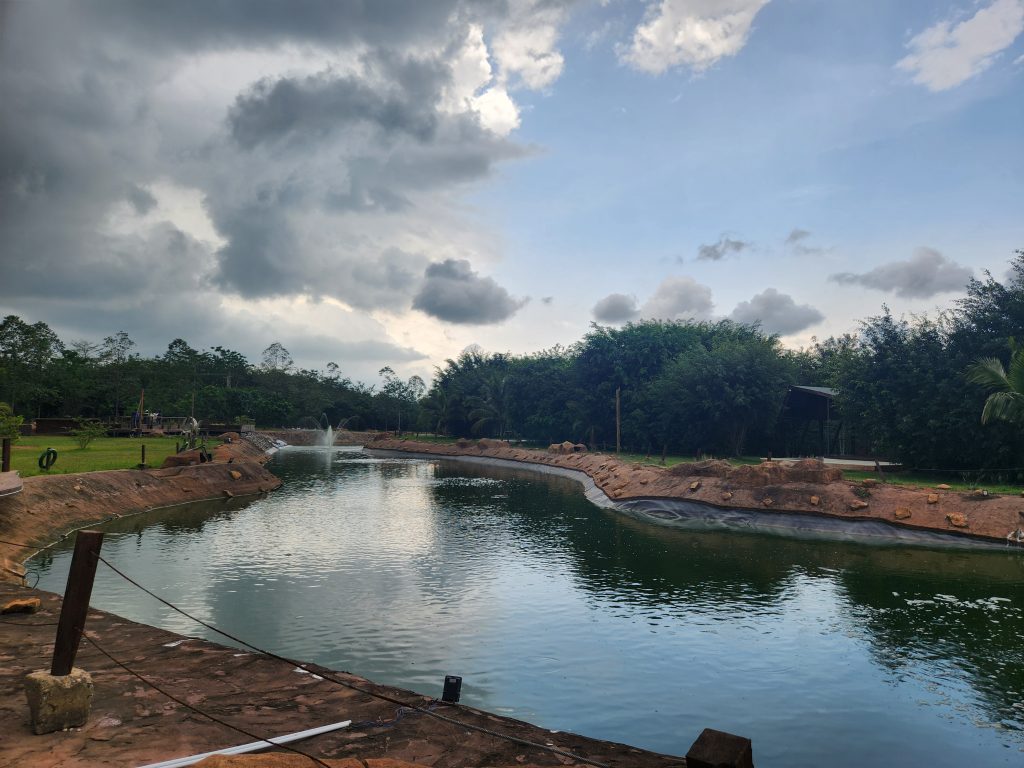 A serene outdoor scene featuring a calm, greenish-blue pond surrounded by lush greenery and trees.