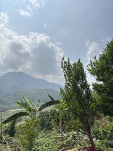 A scenic landscape featuring mountains in the background under a partly cloudy sky. In the foreground, there are a few trees and banana plants, amidst a lush green setting with agricultural fields visible in the distance. 