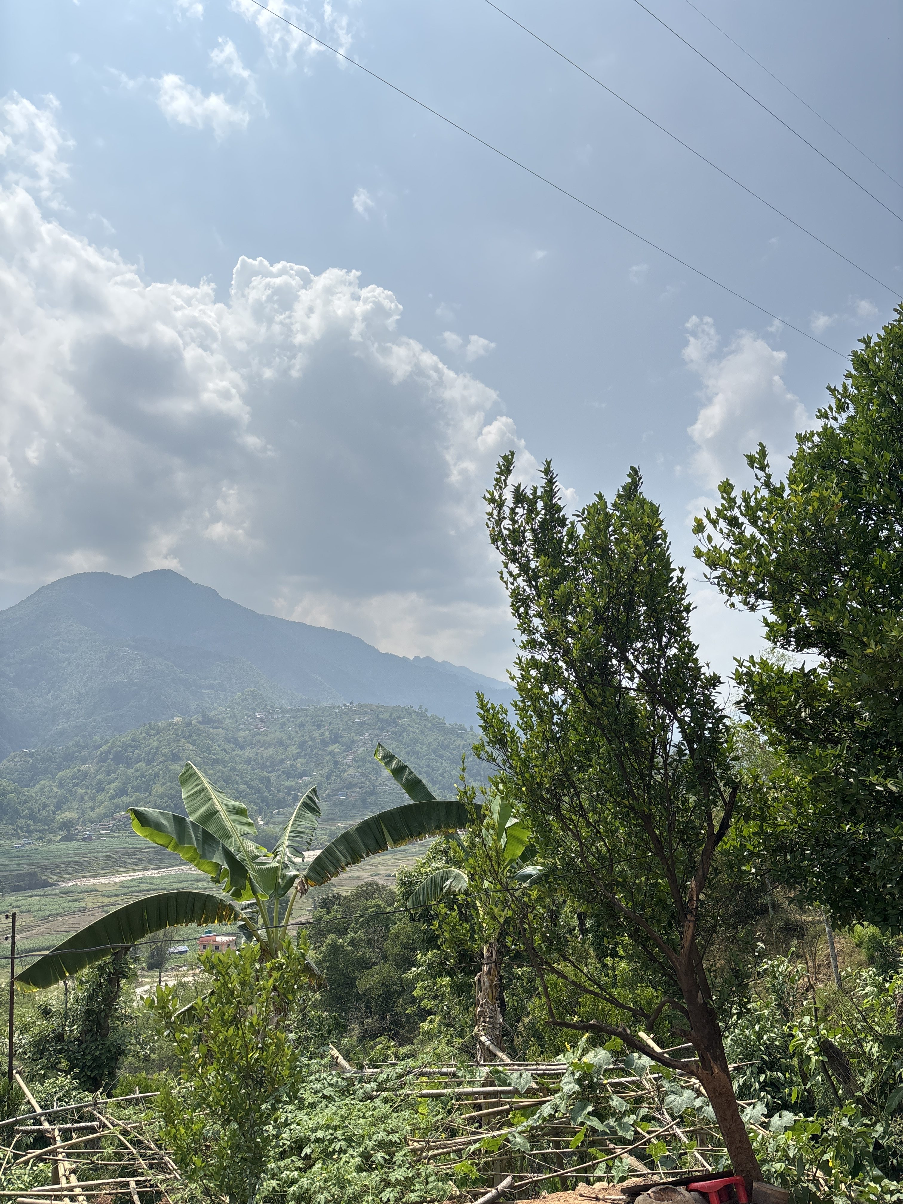 A scenic landscape featuring mountains in the background under a partly cloudy sky. In the foreground, there are a few trees and banana plants, amidst a lush green setting with agricultural fields visible in the distance.