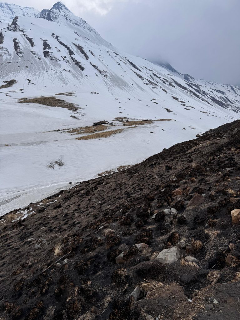 A rugged landscape featuring a steep mountainside, partially covered in snow. The lower part of the mountain is marked by dark, barren earth interspersed with rocky outcrops and a few patches of dry grass.