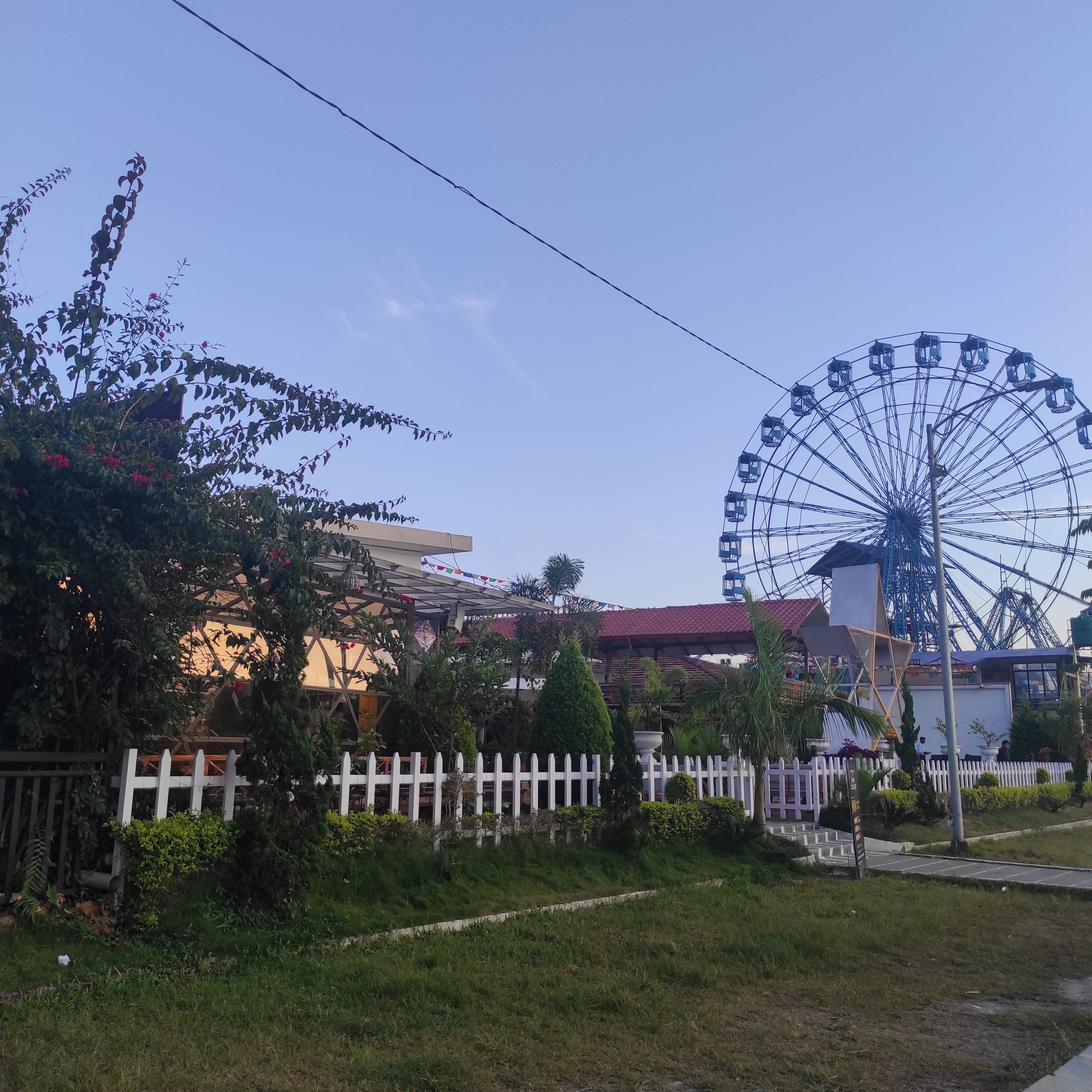 White picket fence in front of some buildings obscured by plants, a ferris wheel looming over in the distance.