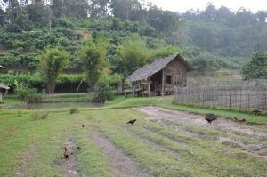 A tranquil rural scene featuring a small wooden house with a thatched roof beside a pond. Surrounding the house is a grassy area with several chickens roaming freely. In the background, lush green hills are visible, dotted with bushes and trees.