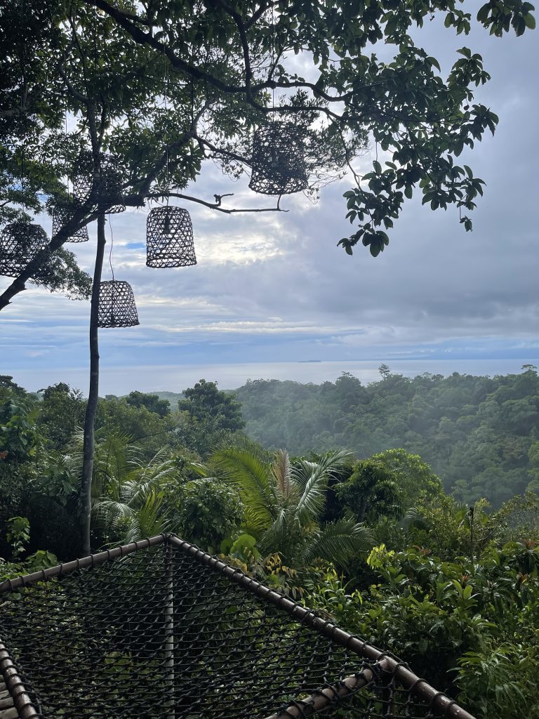 A scenic view of a lush green jungle with a cloudy sky overhead. Hanging from a tree branch are several decorative woven lanterns.
