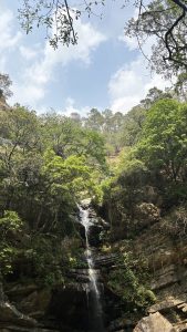 A serene landscape featuring a waterfall cascading down a rocky cliff, surrounded by lush green trees and vegetation. 
