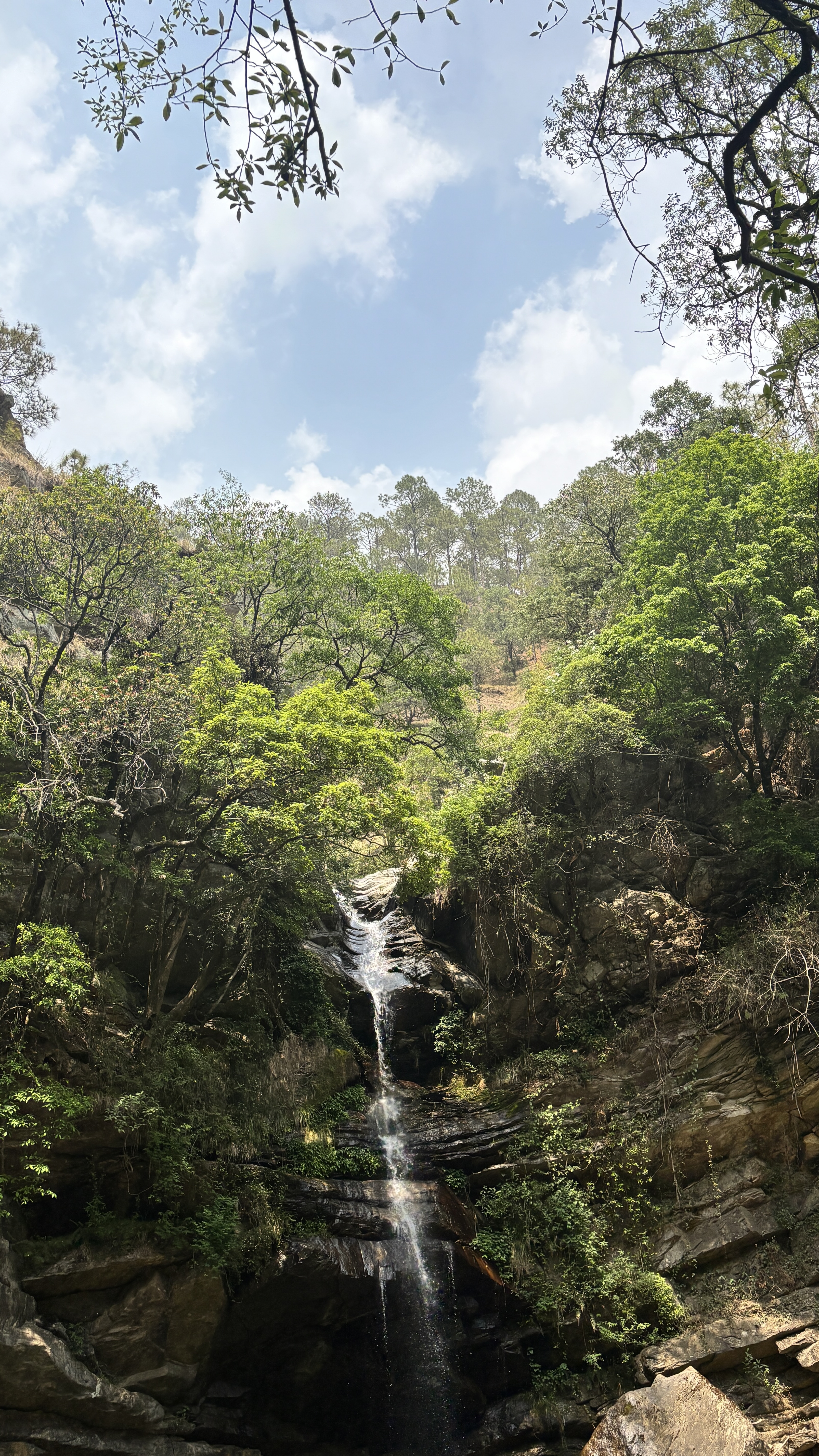 A serene landscape featuring a waterfall cascading down a rocky cliff, surrounded by lush green trees and vegetation.