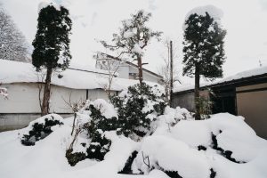 A tranquil winter scene featuring a snow-covered outdoor area. Various evergreen trees and shrubs are blanketed in thick snow, with their shapes partially obscured. 