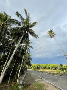 A scenic view featuring tall palm trees lining the side of a road. 
