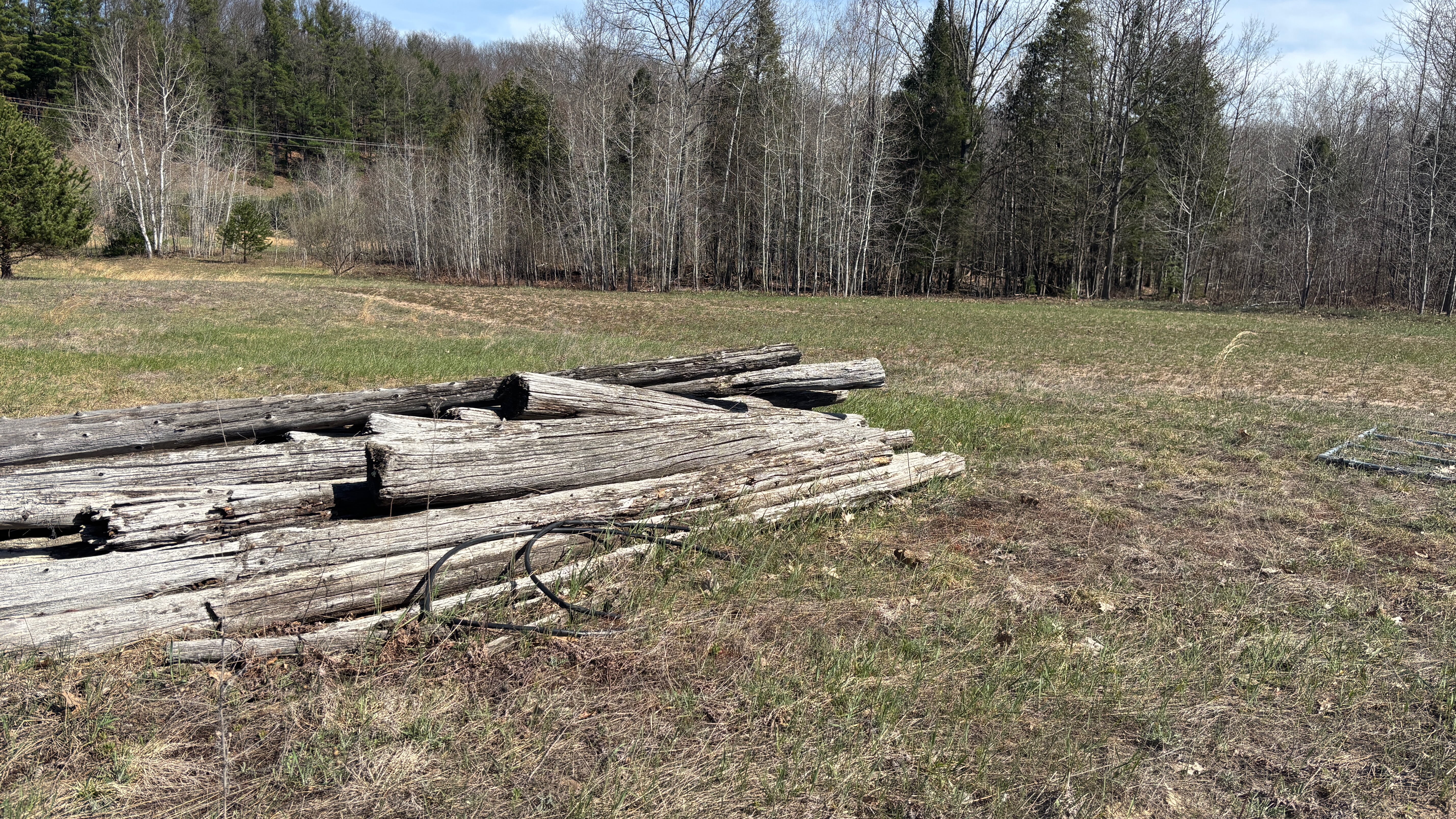 Weathered old logs in an open empty field.