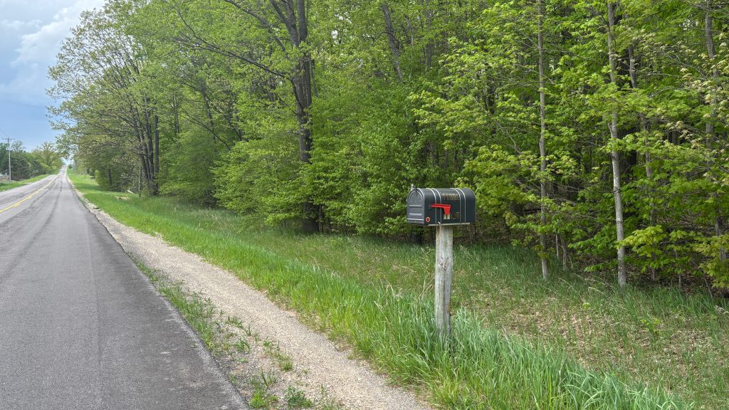 A mail box by the side of a long country road, forest in the background.