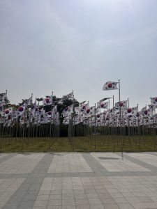 A wide shot of a grassy area filled with multiple South Korean flags on tall poles, waving gently in the breeze.