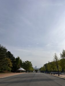 A wide, empty road stretches into the distance, flanked by green trees on both sides. A city skyline is off in the distance.