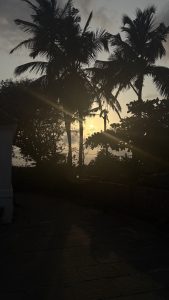 A serene sunset scene featuring silhouetted palm trees against a glowing sun on the horizon.