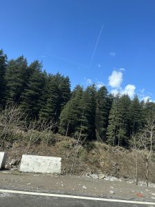 A scenic view of a forested hillside under a clear blue sky. 
