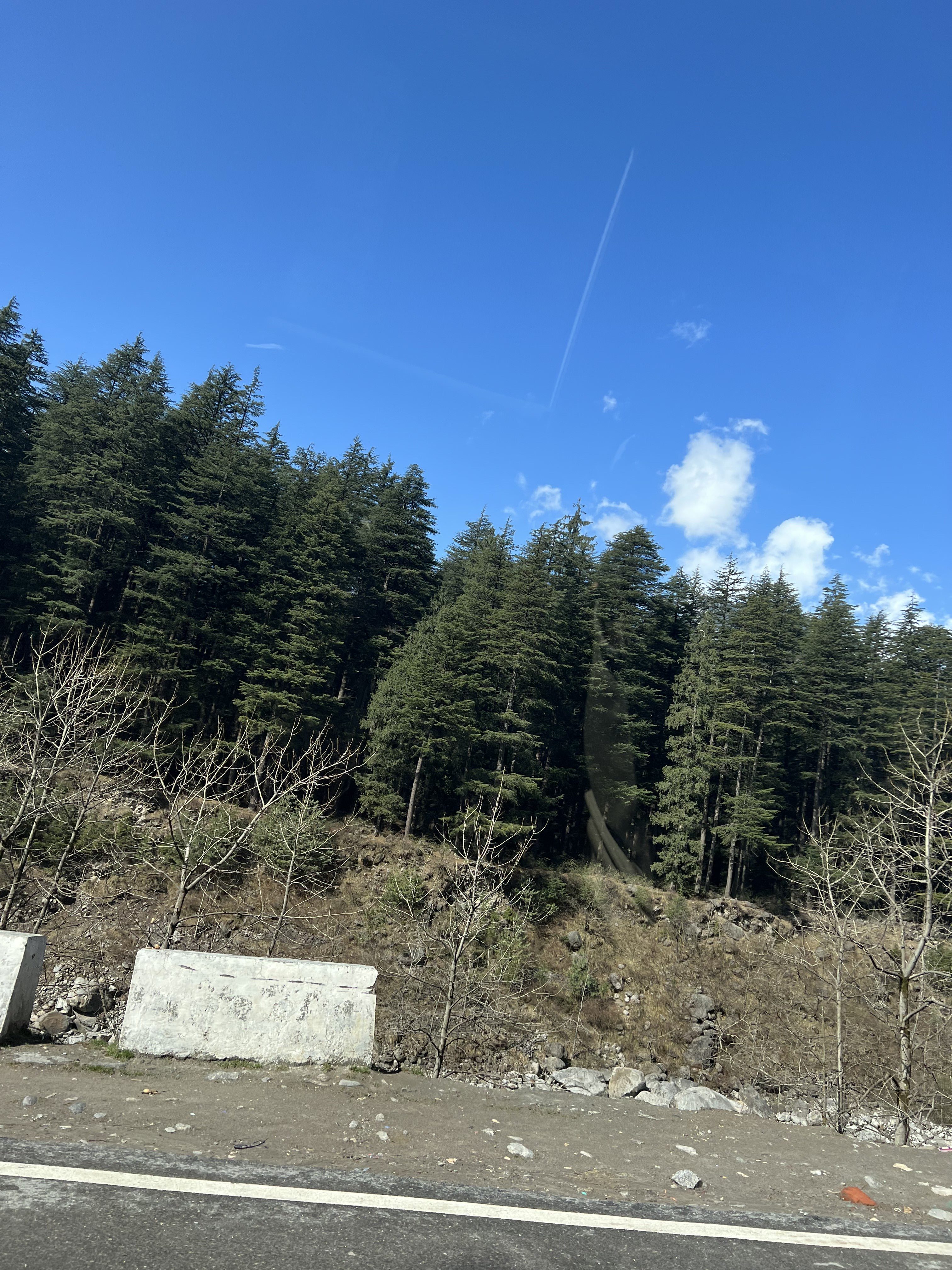 A scenic view of a forested hillside under a clear blue sky.
