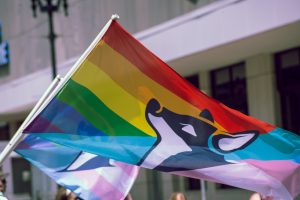 A mixed traditional pride and trans pride flag featuring the face of a stylized husky dog flutters in the wind during a Pride event. Another flag with a similar design waves nearby. The background shows a blurred city building in bright daylight. 
