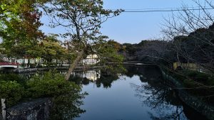 A tranquil scene depicting a calm body of water surrounded by lush trees and foliage.