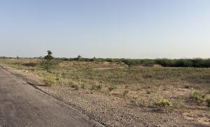 A wide view of a rural landscape featuring a smooth, paved road on the left side, bordered by a rocky strip. The terrain is mostly flat and covered with sparse grass and low shrubs, interspersed with patches of yellow wildflowers.