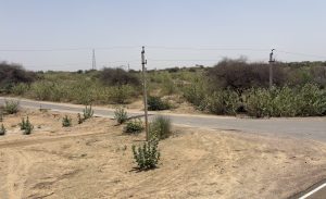 A rural landscape featuring a paved road with a sandy shoulder, surrounded by sparse vegetation and small bushes. Utility poles with power lines stretch along the road, and in the background, there are more shrubs, trees, and a distant communication tower under a clear blue sky.