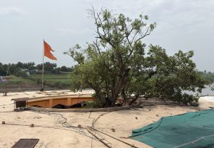 A large tree growing through a circular opening in a flat concrete rooftop, surrounded by wires and pipes. To the left, an orange flag flutters on a tall pole, with green fields, palm trees, and a river visible in the background under a cloudy sky. A green tarpaulin is spread out on part of the rooftop in the foreground.