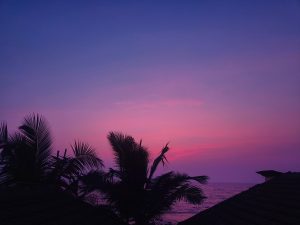 The sun sets over a calm ocean, painting the sky in deep blues, pinks, and purples. Palm trees and rooftops appear in silhouette against the glowing horizon. Reflections ripple across the water, creating a tranquil, tropical scene full of gentle warmth and serenity.
