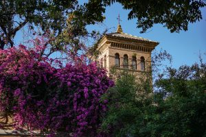 A vibrant display of blooming bougainvillea with its deep pink flowers envelops the foreground, while in the background, a stately old building with arched windows and a tiled roof rises against a clear blue sky.