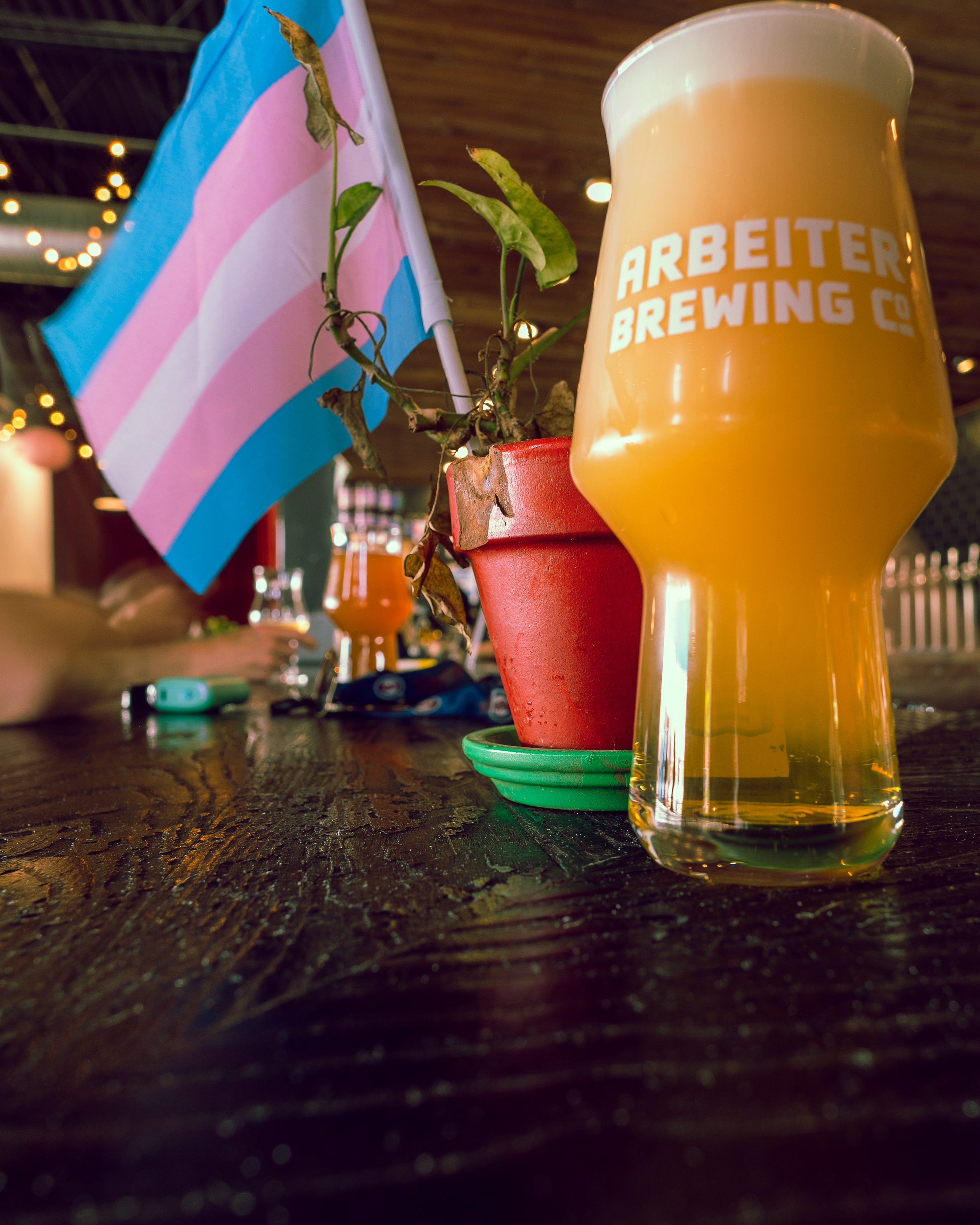 A Beer sits on a wood bar with a flower pot in the background. The flower pot has a small green plant and a trans pride flag.