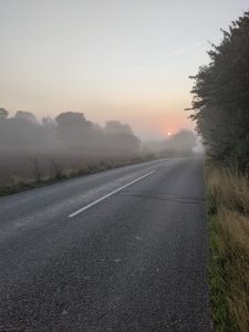 A narrow, empty road surrounded by trees and fields is shrouded in fog during sunrise.