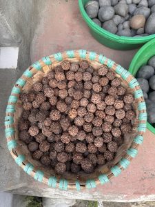 A wicker basket filled with numerous textured, brown Rudraksha seeds.