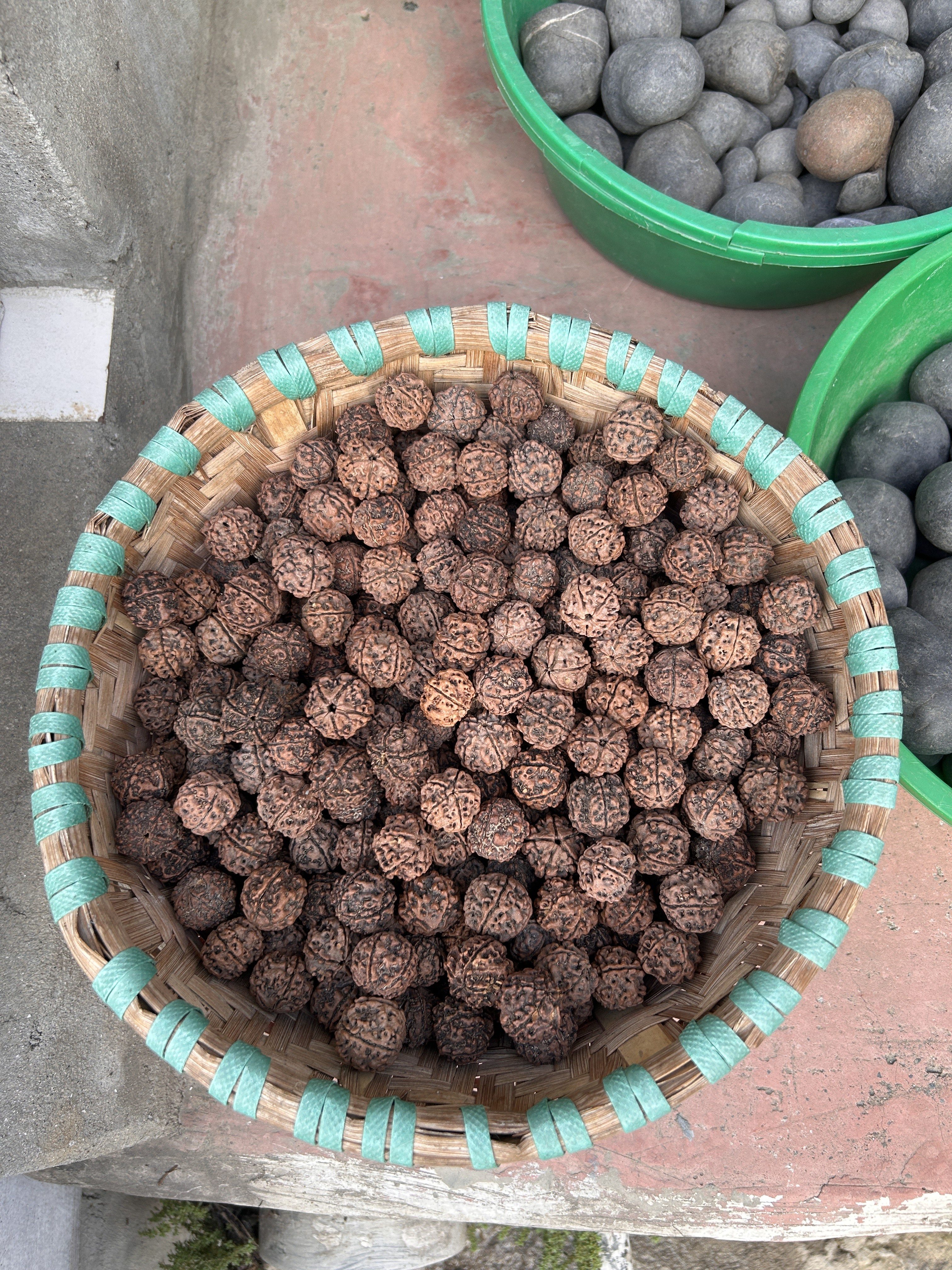 A wicker basket filled with numerous textured, brown Rudraksha seeds.