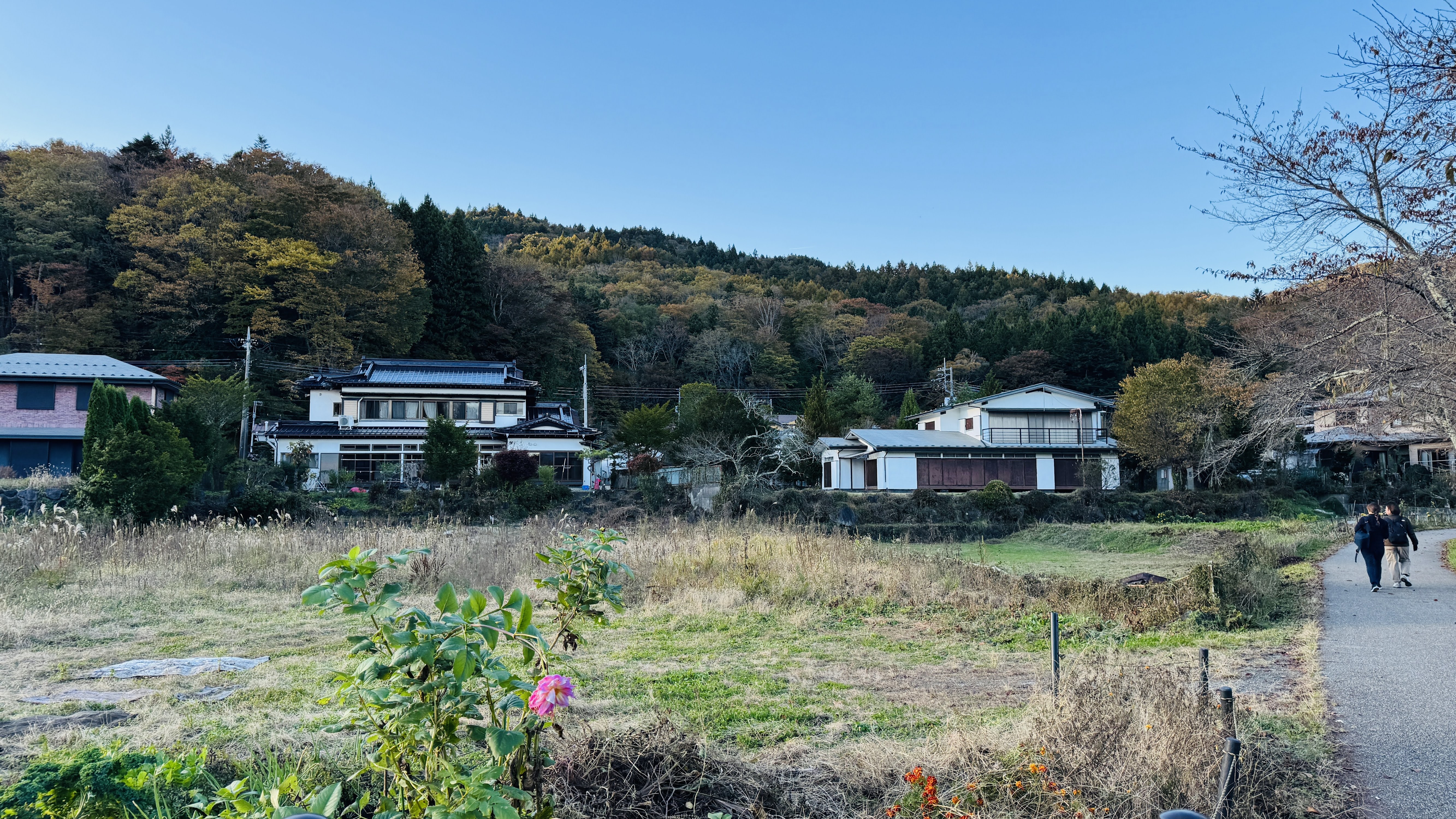 A rural landscape featuring a grassy field in the foreground with patches of wildflowers.