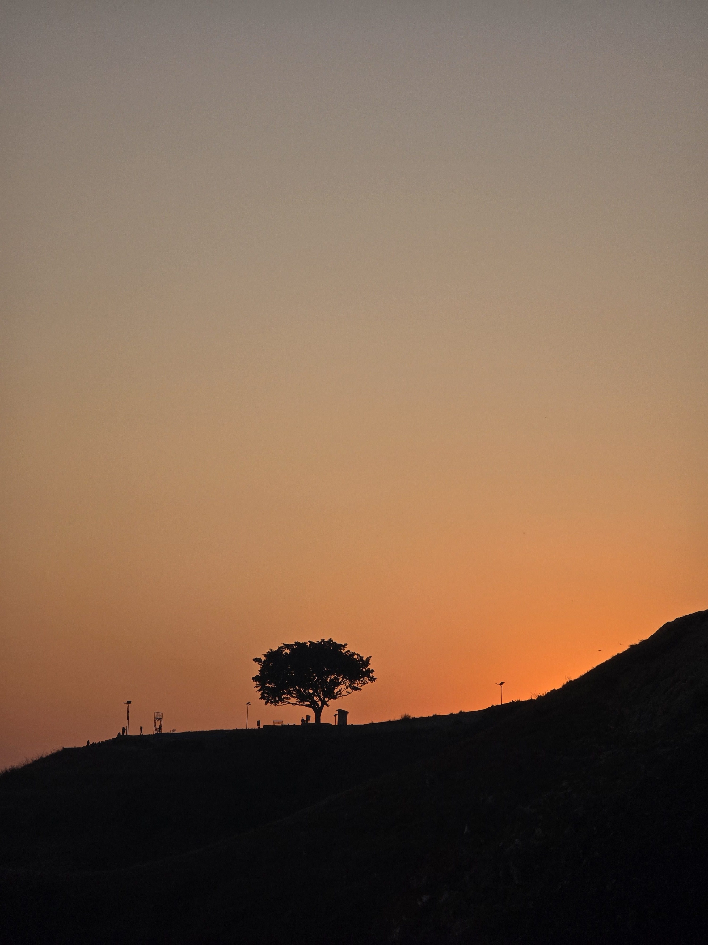 A silhouette of a large tree stands on a hill against a gradient sunset sky, where warm hues of orange blend into cooler shades above. In the foreground, the undulating silhouette of the hill adds depth to the tranquil scene.