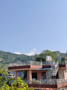 A modern multi-story building with a pink exterior and metal railings sits among lush greenery.